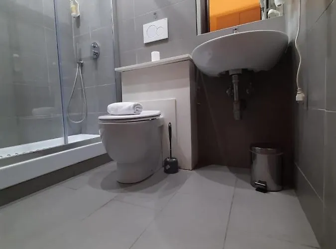 Laterani Dfm Roma