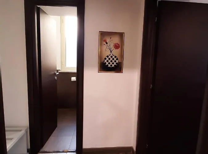 Laterani Dfm